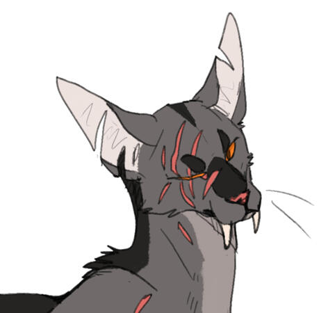 Character design of Shreddedeye, and original character based on the Warrior Cats books.